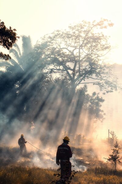 firemen, fire, smoke, rescue, brave, hero, grass fire, forest fire, dangerous, job, douse, tragedy, emergency, adrenaline, firemen, rescue, brave, forest fire, forest fire, forest fire, forest fire, forest fire, emergency