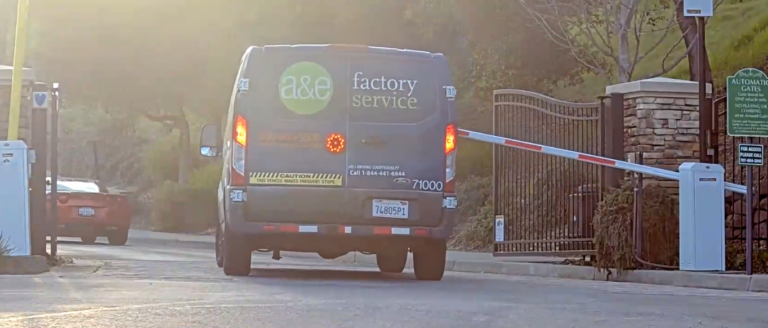 Back Gate, New Eyes :-)