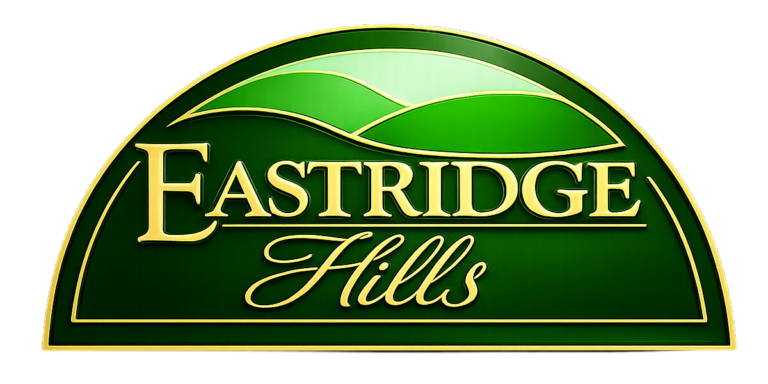 Rules: A New Standard